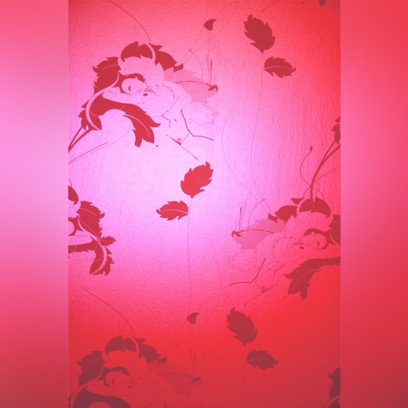 DED association Paper Voyeur Agent Provocateur Coco De Mer Limited Edition Roll - Picture 2 of 13